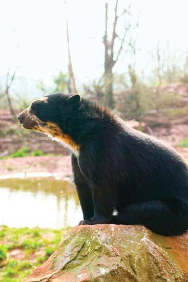 Иллюстрация к книге — Мохнатый бог [i_090.jpg]