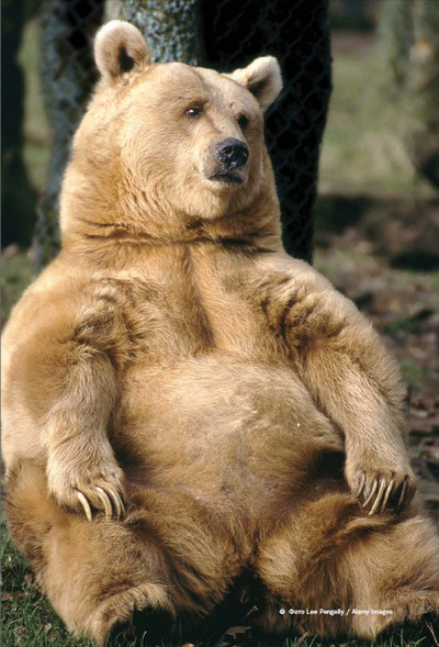 Иллюстрация к книге — Мохнатый бог [i_091.jpg]