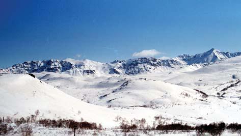 Иллюстрация к книге — Мохнатый бог [i_141.jpg]