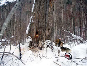 Иллюстрация к книге — Мохнатый бог [i_142.jpg]