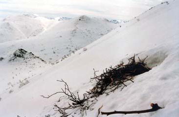 Иллюстрация к книге — Мохнатый бог [i_148.jpg]