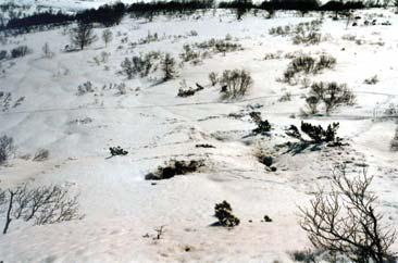 Иллюстрация к книге — Мохнатый бог [i_149.jpg]