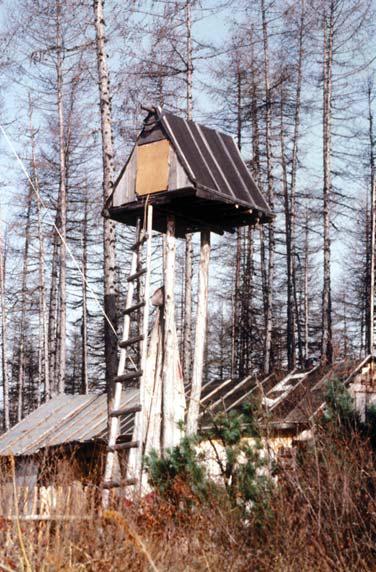 Иллюстрация к книге — Мохнатый бог [i_153.jpg]