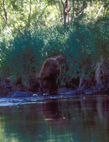 Иллюстрация к книге — Мохнатый бог [i_157.jpg]