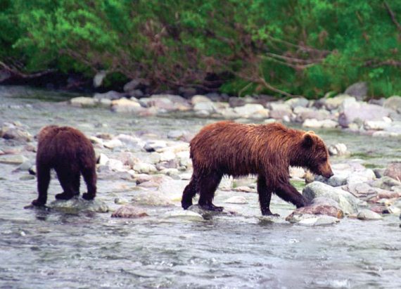 Иллюстрация к книге — Мохнатый бог [i_159.jpg]