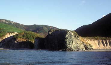 Иллюстрация к книге — Мохнатый бог [i_164.jpg]