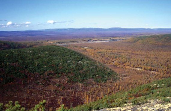 Иллюстрация к книге — Мохнатый бог [i_168.jpg]