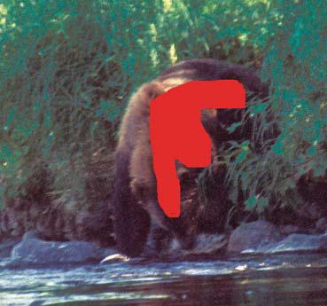 Иллюстрация к книге — Мохнатый бог [i_175.jpg]