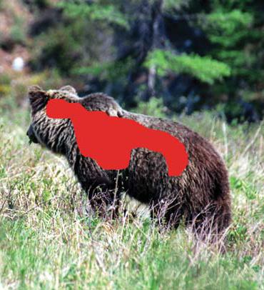 Иллюстрация к книге — Мохнатый бог [i_177.jpg]