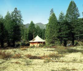 Иллюстрация к книге — Мохнатый бог [i_196.jpg]