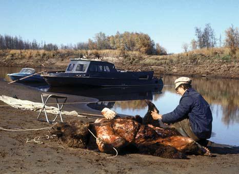 Иллюстрация к книге — Мохнатый бог [i_204.jpg]