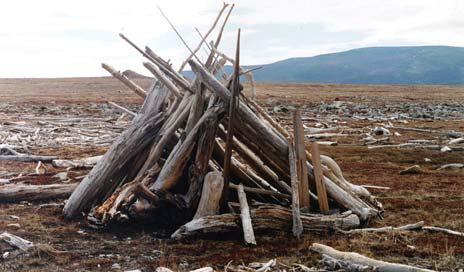 Иллюстрация к книге — Мохнатый бог [i_214.jpg]