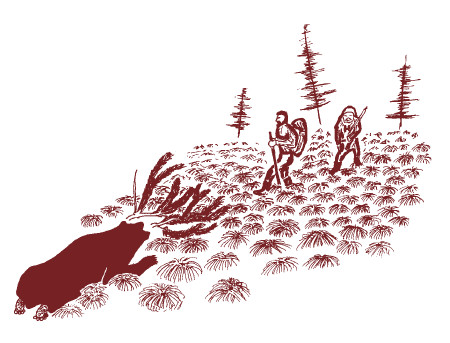 Иллюстрация к книге — Мохнатый бог [i_216.jpg]