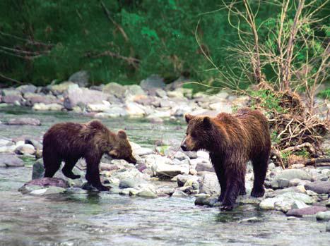 Иллюстрация к книге — Мохнатый бог [i_218.jpg]