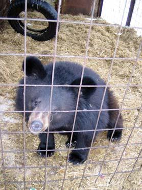 Иллюстрация к книге — Мохнатый бог [i_229.jpg]