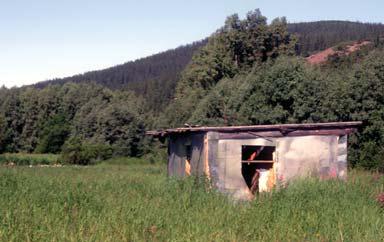 Иллюстрация к книге — Мохнатый бог [i_231.jpg]