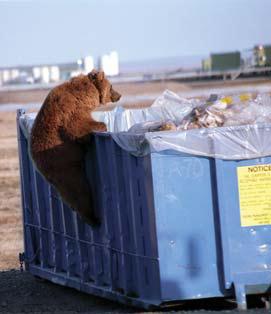 Иллюстрация к книге — Мохнатый бог [i_236.jpg]