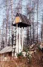 Иллюстрация к книге — Мохнатый бог [i_261.jpg]