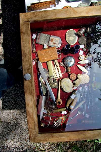 Иллюстрация к книге — Бенвенуто [i_005.jpg]