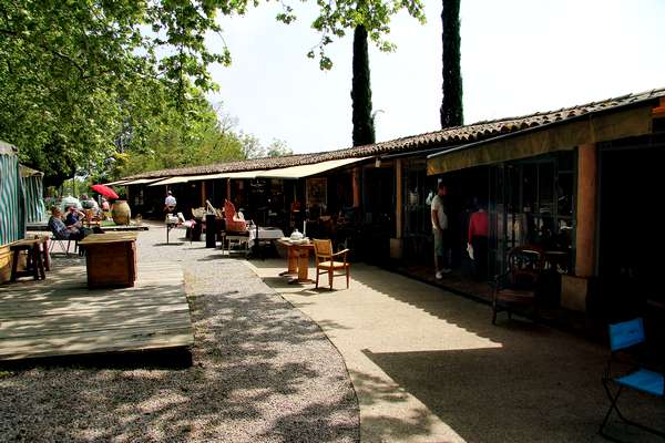 Иллюстрация к книге — Бенвенуто [i_006.jpg]