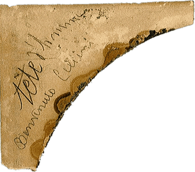 Иллюстрация к книге — Бенвенуто [i_010.png]