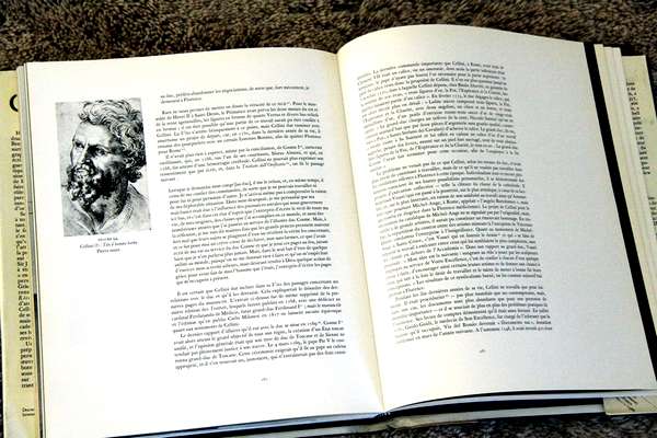 Иллюстрация к книге — Бенвенуто [i_011.jpg]