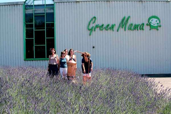 Иллюстрация к книге — Бенвенуто [i_024.jpg]