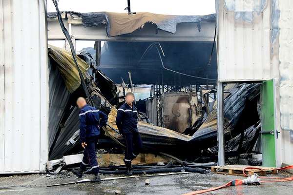 Иллюстрация к книге — Бенвенуто [i_032.jpg]