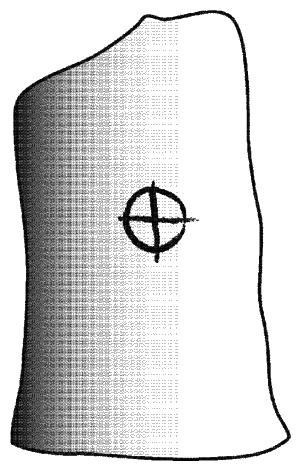 Иллюстрация к книге — Ночная охота [_206.png]