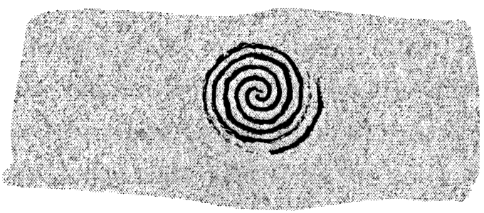 Иллюстрация к книге — Ночная охота [_300.png]