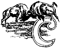 Иллюстрация к книге — Тропа. История Безумного Медведя [pic29.png]