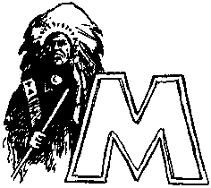 Иллюстрация к книге — Тропа. История Безумного Медведя [pic43.png]