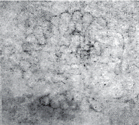 Иллюстрация к книге — Псевдоним(б). В поисках Шекспира [pic_18.png]