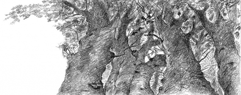 Иллюстрация к книге — Камень во плоти [i_008.jpg]