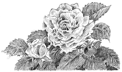 Иллюстрация к книге — Камень во плоти [i_017.jpg]