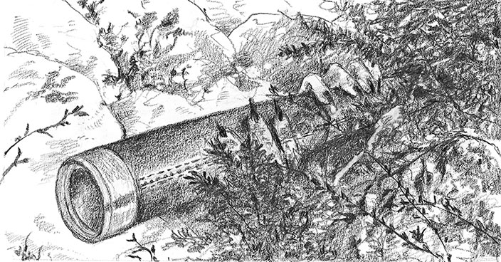 Иллюстрация к книге — Камень во плоти [i_027.jpg]