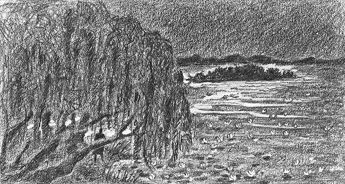 Иллюстрация к книге — Камень во плоти [i_030.jpg]