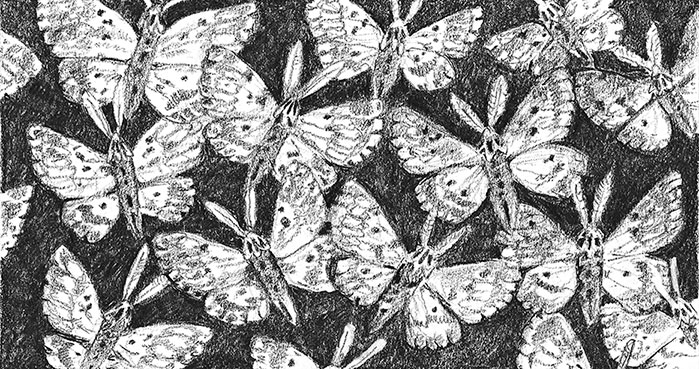 Иллюстрация к книге — Камень во плоти [i_033.jpg]