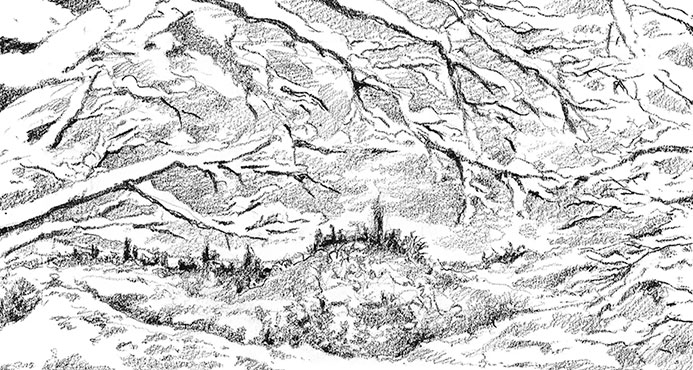 Иллюстрация к книге — Камень во плоти [i_055.jpg]