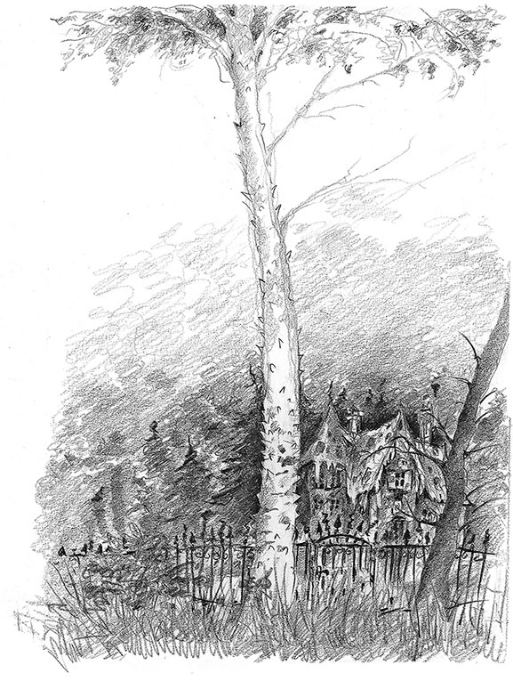 Иллюстрация к книге — Камень во плоти [i_056.jpg]