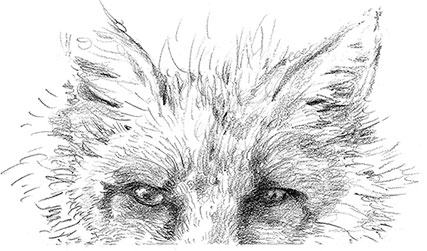 Иллюстрация к книге — Живые тени [i_002.jpg]