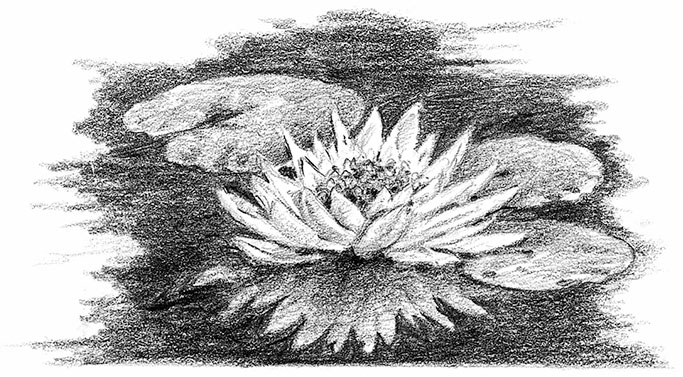 Иллюстрация к книге — Живые тени [i_008.jpg]