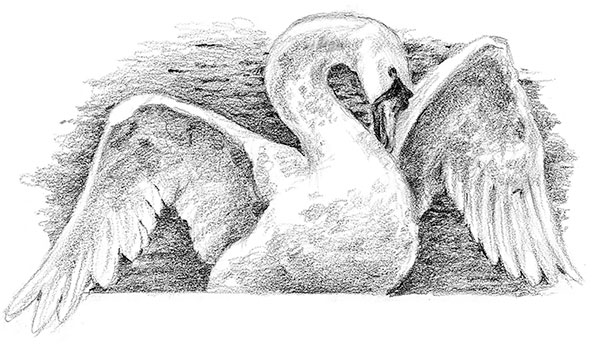 Иллюстрация к книге — Живые тени [i_010.jpg]