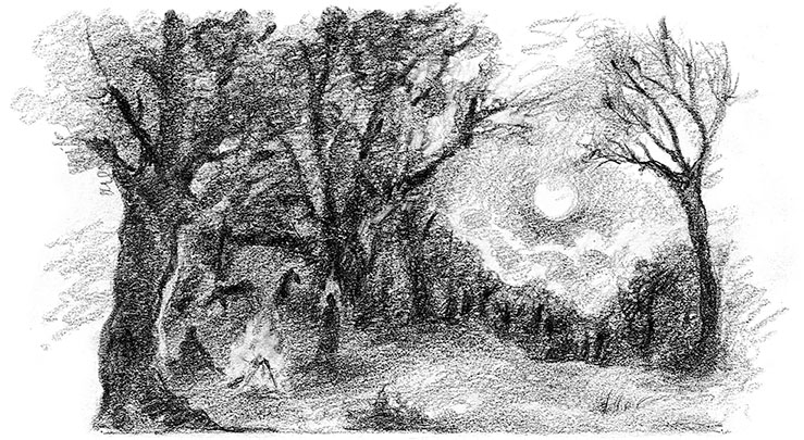 Иллюстрация к книге — Живые тени [i_015.jpg]