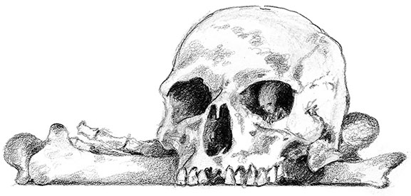 Иллюстрация к книге — Живые тени [i_021.jpg]