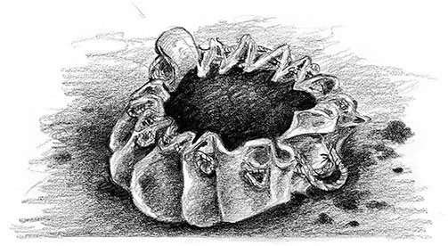 Иллюстрация к книге — Живые тени [i_025.jpg]