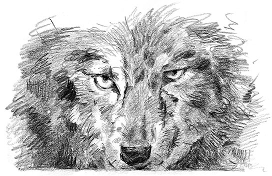 Иллюстрация к книге — Живые тени [i_029.jpg]