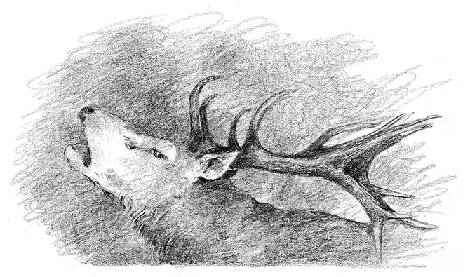 Иллюстрация к книге — Живые тени [i_047.jpg]