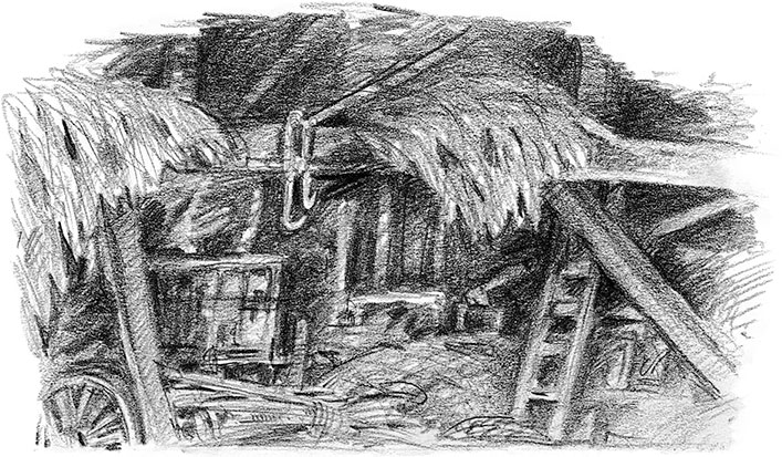 Иллюстрация к книге — Живые тени [i_051.jpg]