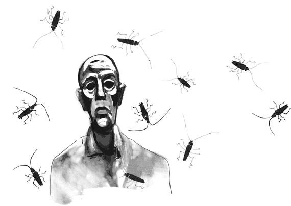 Иллюстрация к книге — Император последнего дня [i_007.png]